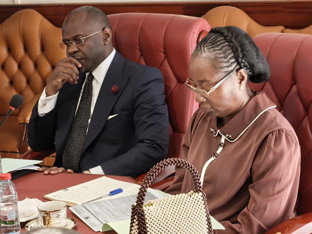 La DGTCFM réunit son Comité de Direction pour faire le point sur les grands dossiers du Trésor public 6 Réunion Comité de Direction 6